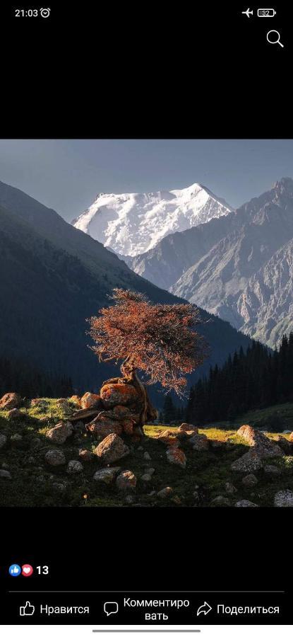 Ala-Kul Guesthouse In Altyn-Arashan Karakol Bagian luar foto