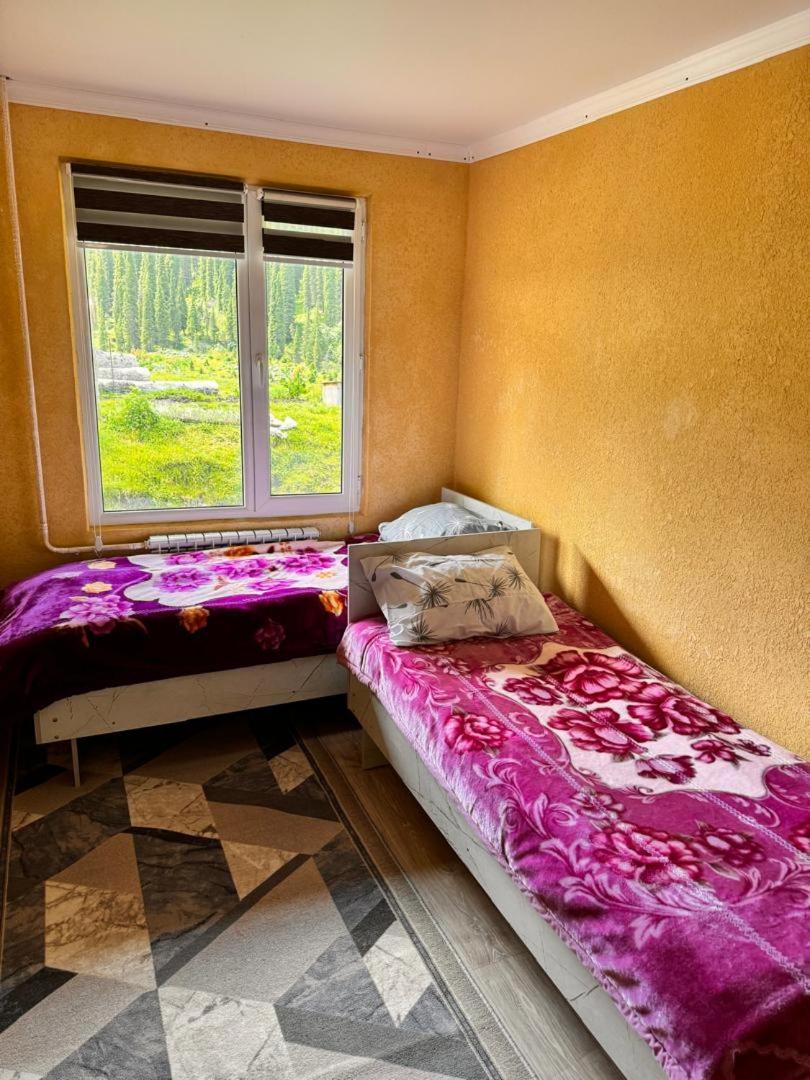 Ala-Kul Guesthouse In Altyn-Arashan Karakol Bagian luar foto