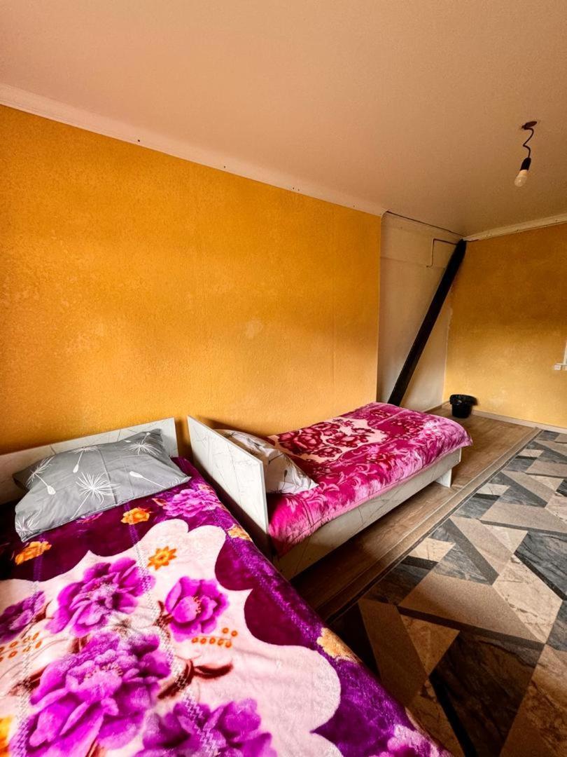 Ala-Kul Guesthouse In Altyn-Arashan Karakol Bagian luar foto
