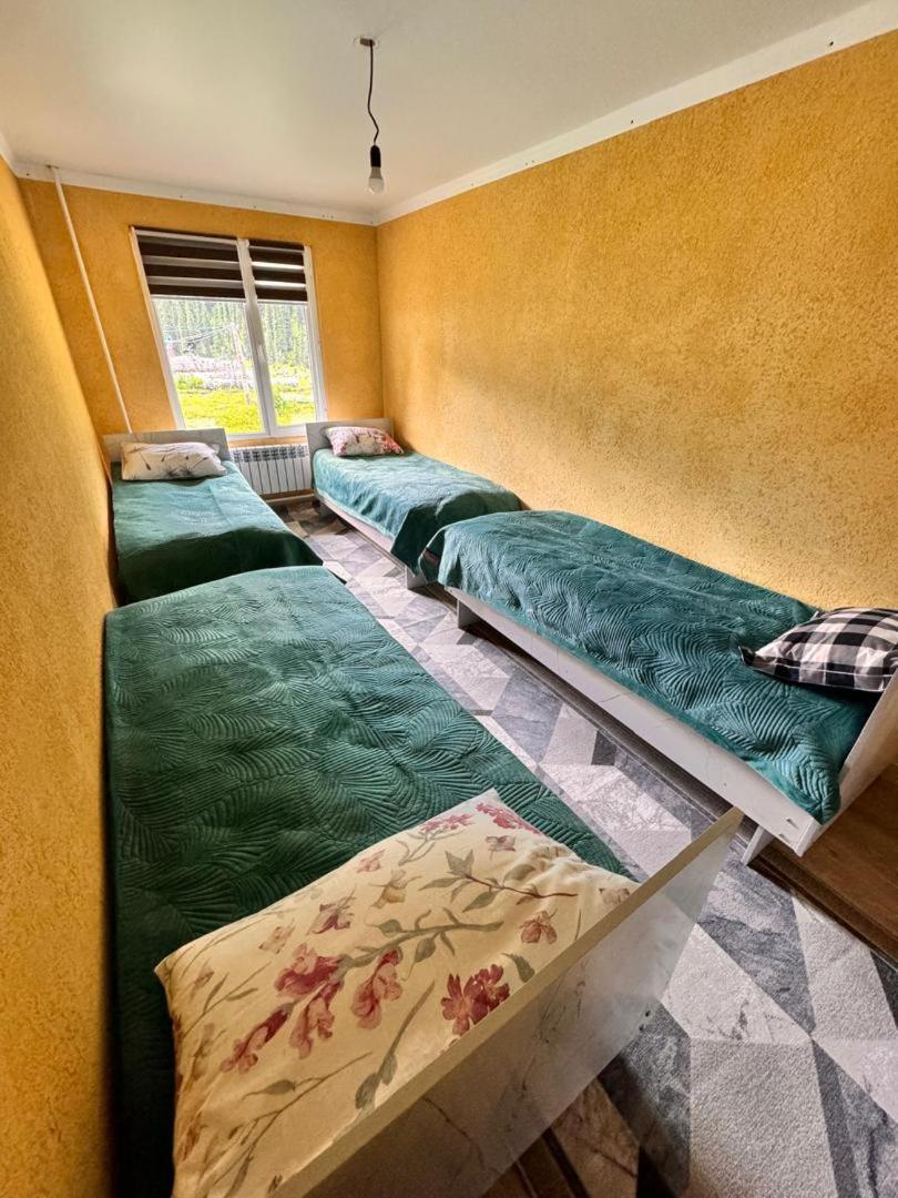 Ala-Kul Guesthouse In Altyn-Arashan Karakol Bagian luar foto