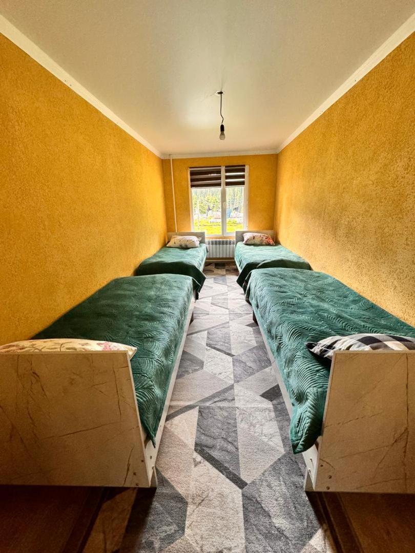 Ala-Kul Guesthouse In Altyn-Arashan Karakol Bagian luar foto