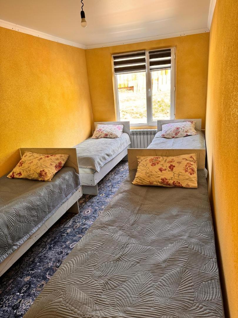 Ala-Kul Guesthouse In Altyn-Arashan Karakol Bagian luar foto