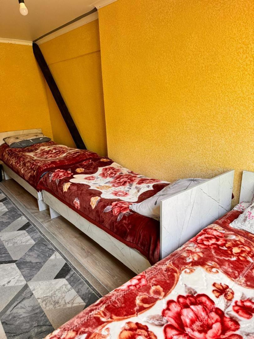 Ala-Kul Guesthouse In Altyn-Arashan Karakol Bagian luar foto