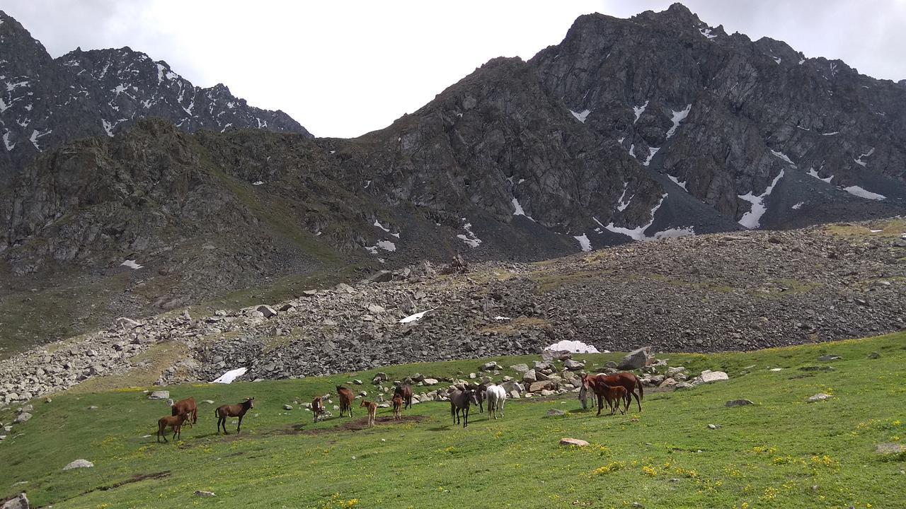 Ala-Kul Guesthouse In Altyn-Arashan Karakol Bagian luar foto