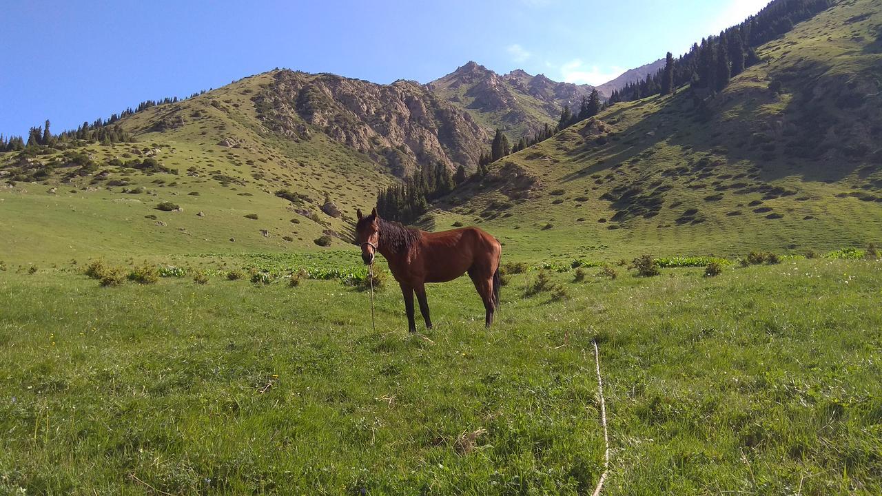 Ala-Kul Guesthouse In Altyn-Arashan Karakol Bagian luar foto